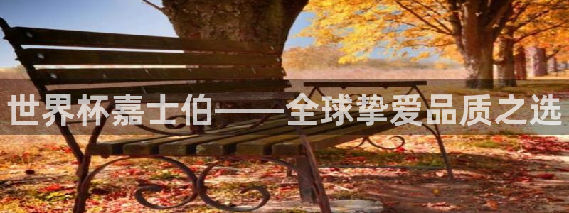 看世界杯:世界杯嘉士伯——全球挚爱品质之选