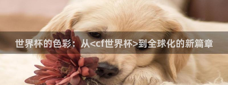 世界杯比赛直播:世界杯的色彩:从<cf世界杯>到全球化的新篇章
