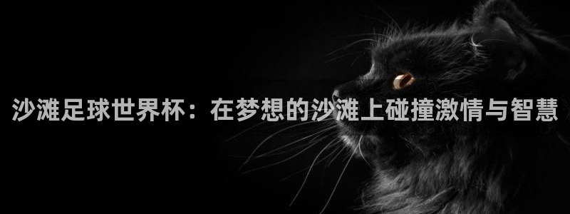 世界杯预选赛排名:沙滩足球世界杯:在梦想的沙滩上碰撞激情与智慧