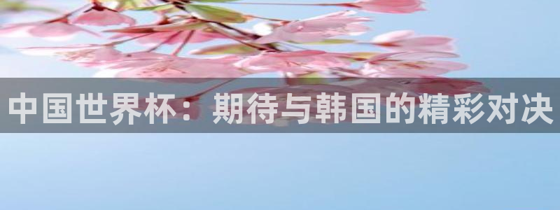 世预赛直播:中国世界杯:期待与韩国的精彩对决