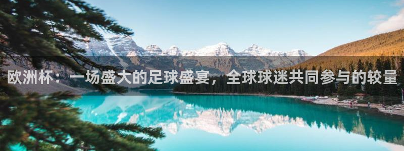 2026年世界杯直播平台:欧洲杯:一场盛大的足球盛宴,全球球迷共同参与的较量