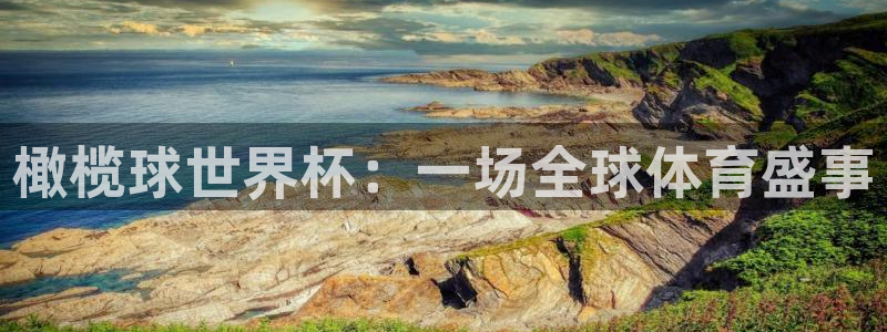 世预赛免费直播入口:橄榄球世界杯:一场全球体育盛事