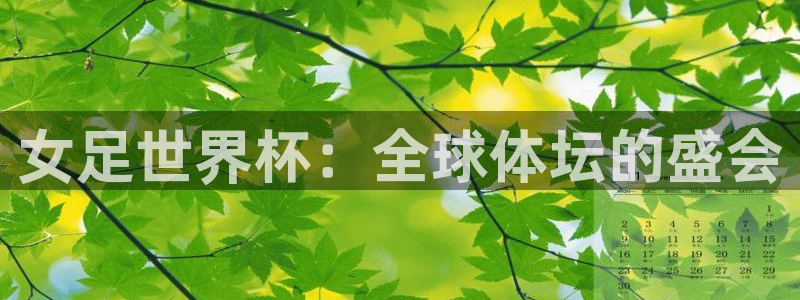 世界杯直播网:女足世界杯:全球体坛的盛会