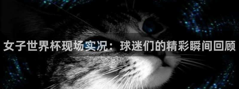 世界杯官网入口:女子世界杯现场实况:球迷们的精彩瞬间回顾